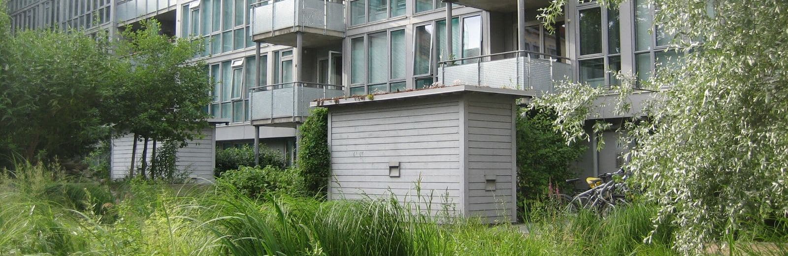 Jardin planté de végétaux qui traite les eaux grises d'un immeuble à Oslo