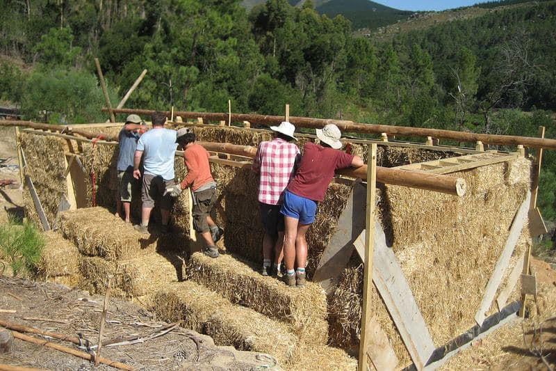 Chantier d'un mur en bottes de paille : des participants empilent les bottes dans l'ossature