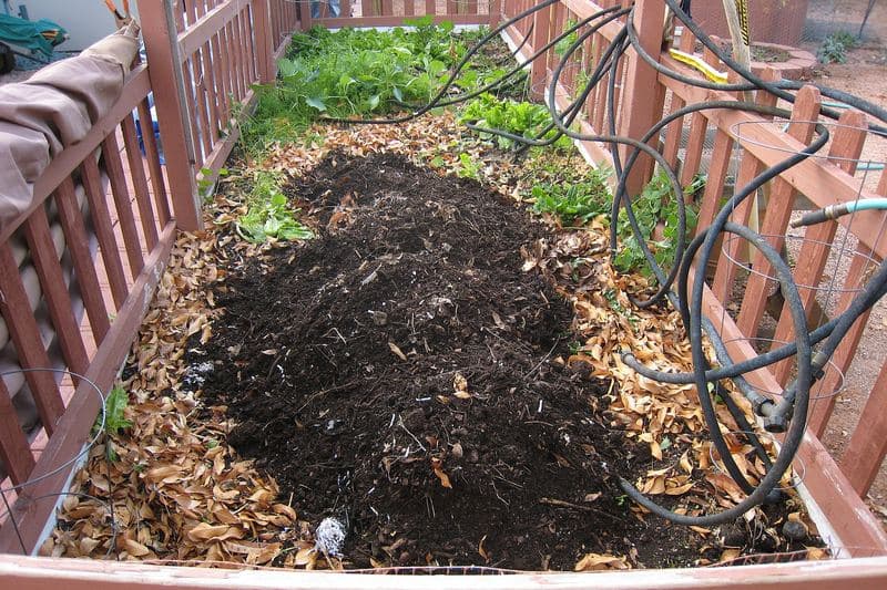 Bac de compost mûr dans un jardin