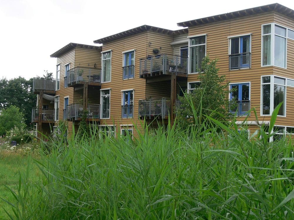 Logements à façade bois entourés de roseaux, quartier écologique EVA-Lanxmeer (Culemborg, Pays-Bas)